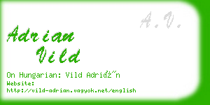 adrian vild business card